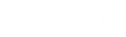 Fiestainfo logo